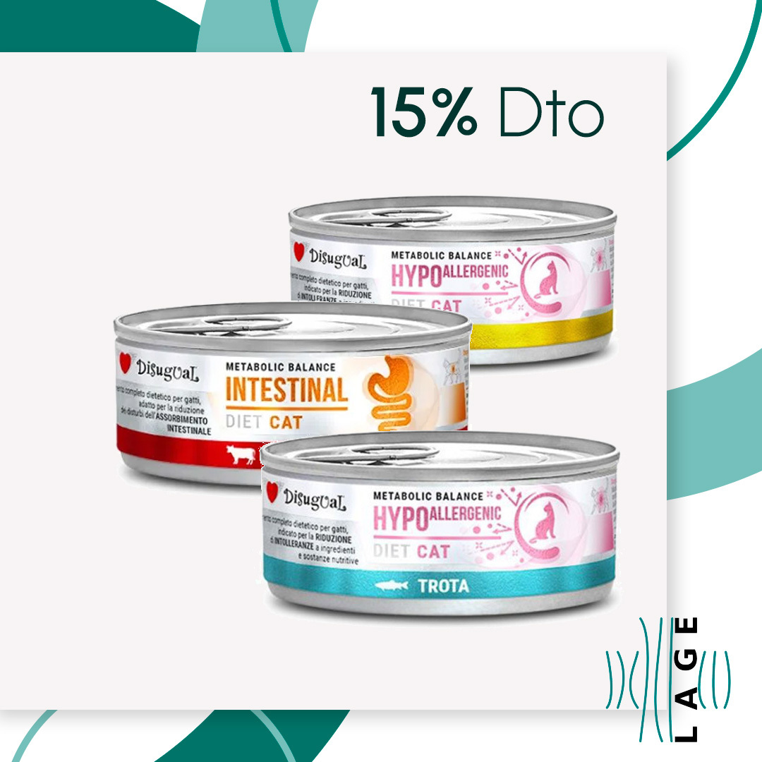 LATAS DISUGUAL PERRO/GATO